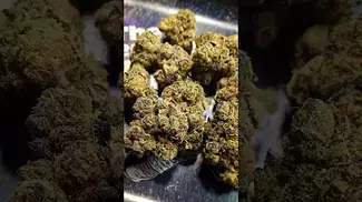 BIG NARSTIE MEDICAL PURPLE MILK (UK PRESCRIPTION MEDICATION)
