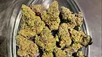 4c Labs T22 D. Bubba FAAFO REVIEW