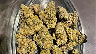 4c Labs T22 D. Bubba FAAFO REVIEW