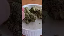 MumMedCanUK Video Thumbnail