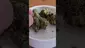 Video Thumbnail: MumMedCanUK