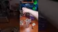 Video Thumbnail: Smacksalad