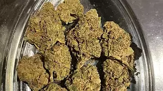Green karat T29 cool grapes REVIEW