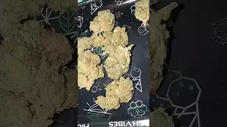 Pure Sunfarms - Pink Kush Quick Look | Latest Batch 2024 #medicalcannabis #ukmedical