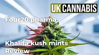 Four20 pharma Khalifa kush mints uk medical cannabis
