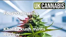 Welcome to the Press Video Thumbnail