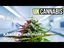 Video Thumbnail: Welcome to the Press