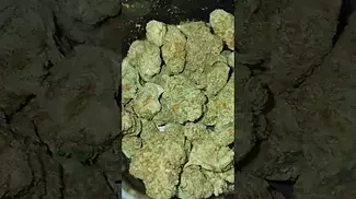 #bignarstie gorilla kush t30% thc  #medicalcannabis #cannabisdaily #cannabisheals #flavours