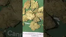 Concanna Video Thumbnail