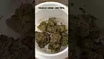 Hexacan Lemon Jane 25% Review #ukmedicalcannabis #medicalcannabis