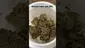 Video Thumbnail: LoudConnoisseur