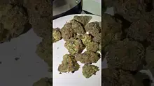 Medi Blaze Video Thumbnail