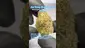 Video Thumbnail: Review Budd