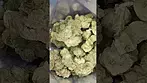Apples & Gas 27%thc from BC GREEN to see more flowers hit my channel and Subscribe #cannabisdaily #shorts