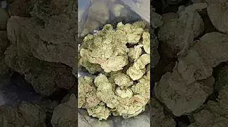 Apples & Gas 27%thc from BC GREEN to see more flowers hit my channel and Subscribe #cannabisdaily #shorts