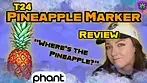 T24 Pineapple Marker - Phant
