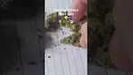 Peace Naturals - Space Cake (30%THC) (UK Medical Cannabis Prescription)
