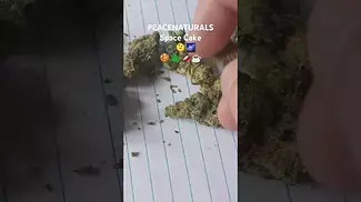 Peace Naturals - Space Cake (30%THC) (UK Medical Cannabis Prescription)