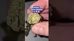 AAAA - Garlic Zkittlez (T28%)(UK Medical Cannabis Prescription)