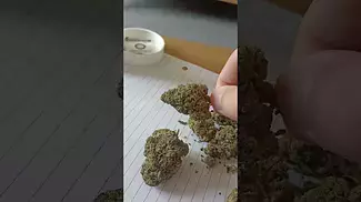 Aurora - Sourdough (Pedanios 29/1 SRD-CA) (UK Medical Cannabis Prescription)