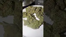 Medi Blaze Video Thumbnail