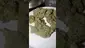 Video Thumbnail: Medi Blaze