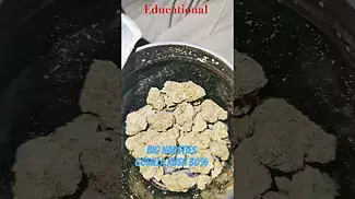 Big narstie gorilla kush uk medical