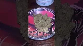 Peace Naturals ~ Atomic Sour Grapefruit (31%)