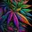 420Medical Channel Logo