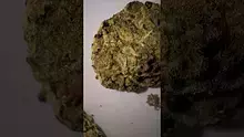  MrUKMedical Video Thumbnail