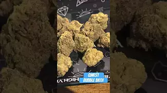 Qwest - Bubble Bath | UK Medical Flower
