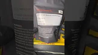 AAAA Gelato 33 First look | medical cannabis