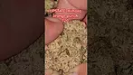 UPSTATE mimosa orange punch T20 AzztecMedia Reviews #medbud.wiki #terpenes #backpain #anxiety