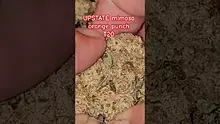 AzztecMedia Video Thumbnail