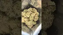 High Jack Video Thumbnail