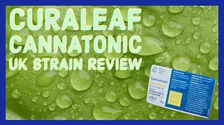 Curaleaf Cannatonic UK Medical Cannabis Strain Review