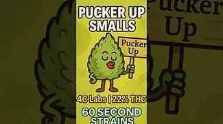 4C Labs Pucker Up Smalls Strain Review | 60 Second Strains (22% THC)