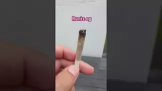 This is how it smokez runtz og review