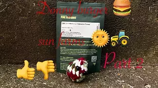 Part 2  Pure Sunfarms™ DBG T21 Donny Burger Medical Cannabis Flower