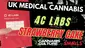 Video Thumbnail: Cannabis Culture 