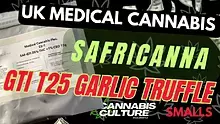 Cannabis Culture  Video Thumbnail