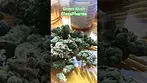 Green kush 25% GlassPharms Releaf #medicalcannabis #ukmedicalcannabis #cannabiscommunity