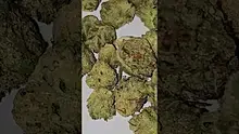 Azztecmedia UK Medical Video Thumbnail