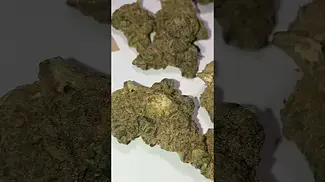 Banana Daddy T26 UK medical