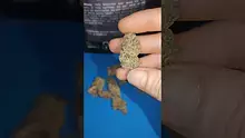 Pressed & Medicinal Video Thumbnail