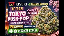 Cannabis Culture  Video Thumbnail