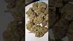 Cookies C-CMI T26 Cereal Milk
