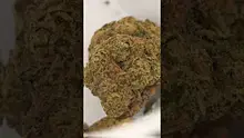 Big Bud Reviews Video Thumbnail
