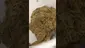 Video Thumbnail: Big Bud Reviews