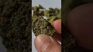 Curaleaf - Royal Moby (UK Medical Cannabis Prescription)